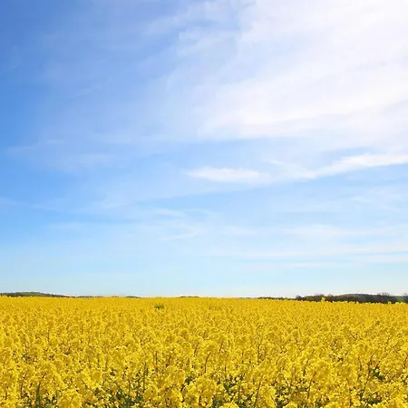 Haus Blick Zur See Ferienwohnung 08 - Mit Sauna- Und Schwimmbadnutzung Im Ahoi Sellin Apartmán Goehren (Ruegen)